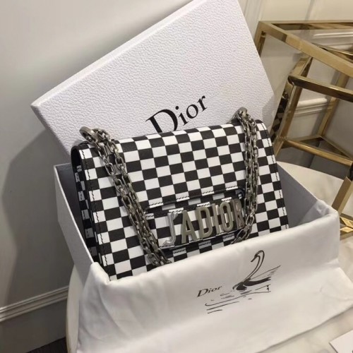 Dior Bag 041